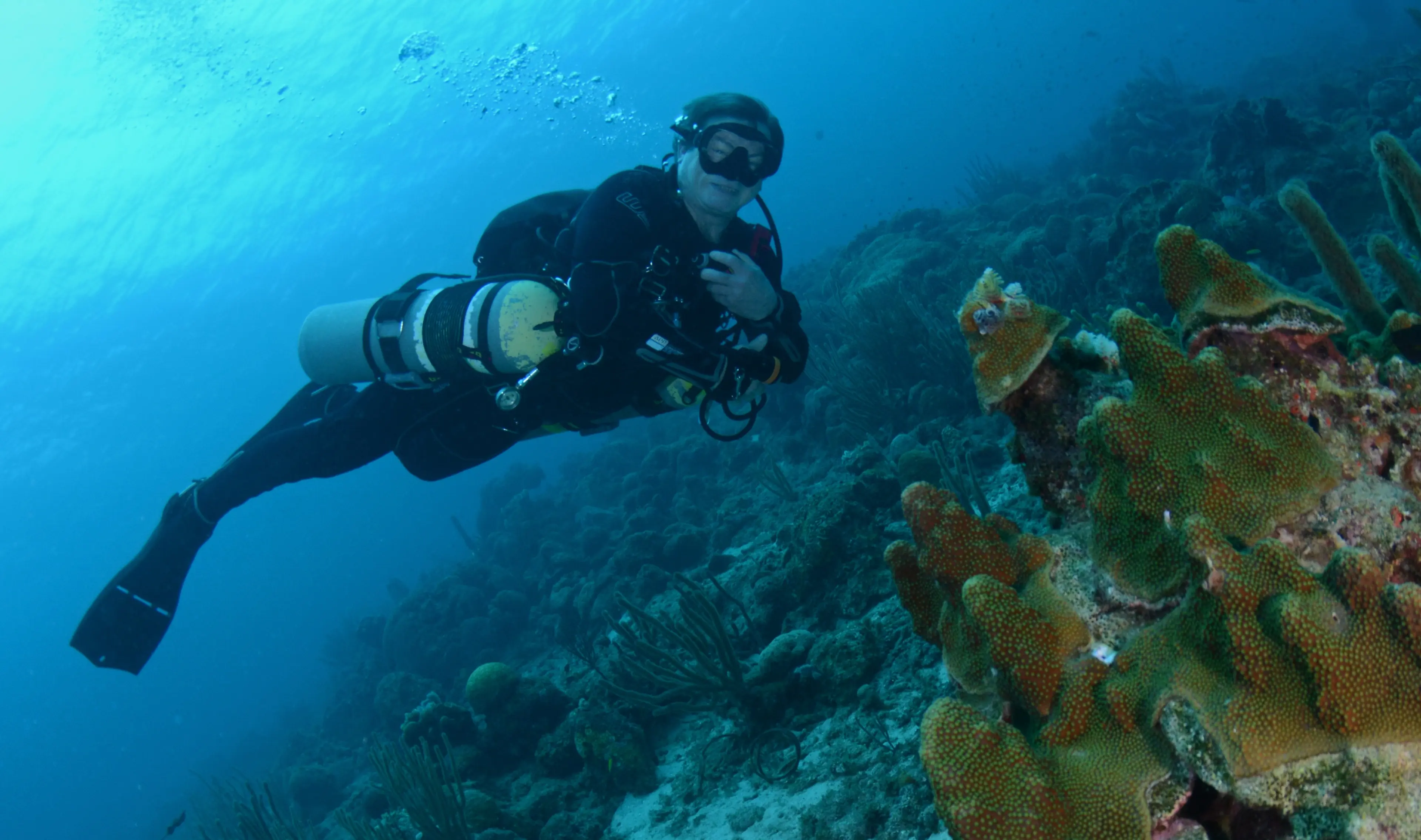 Professional diving