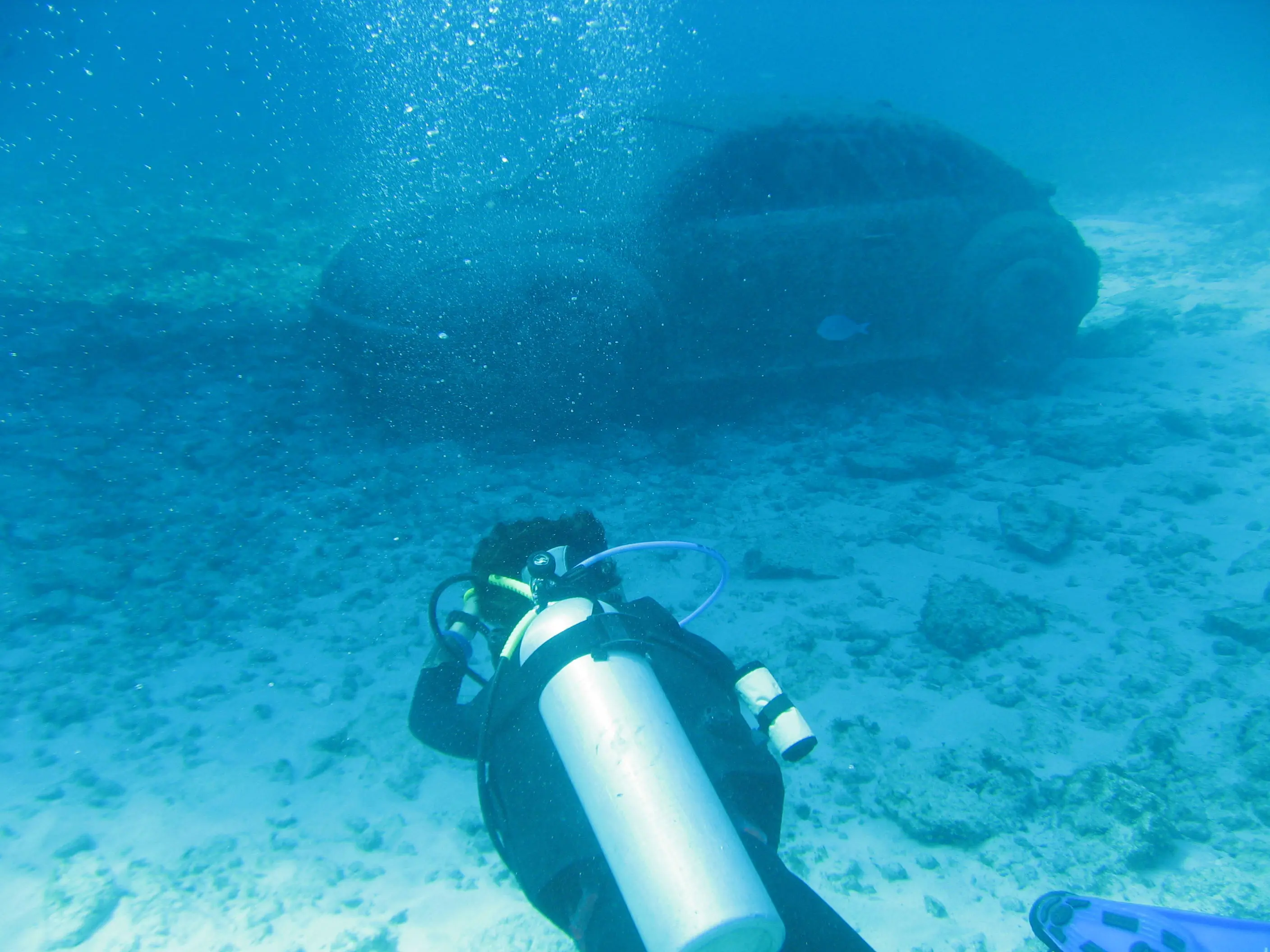 Specialty diving